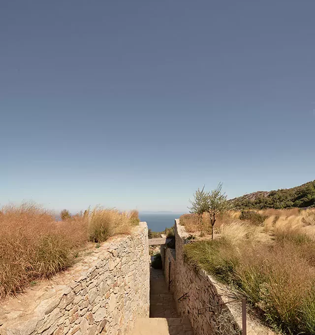 Liknon Winery, K-studio for Metaxa, 2023. Photo by Nikos Daniilidis, Claus Brechenmacher & Reiner Baumann(Breba) © All rights reserved