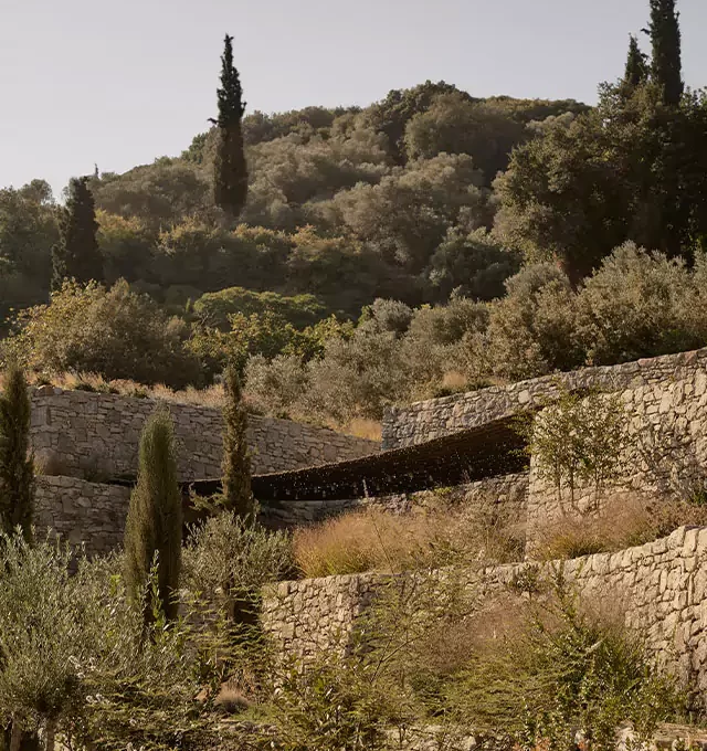 Liknon Winery, K-studio for Metaxa, 2023. Photo by Nikos Daniilidis, Claus Brechenmacher & Reiner Baumann(Breba) © All rights reserved
