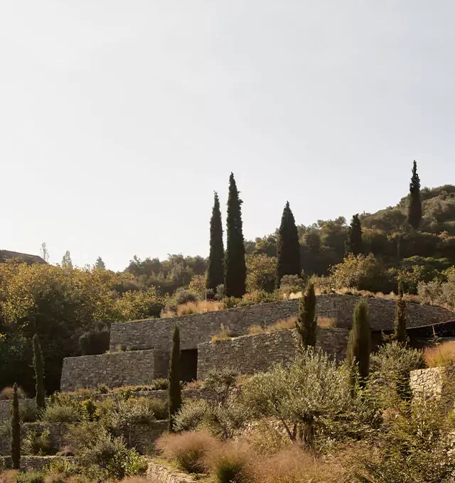 Liknon Winery, K-studio for Metaxa, 2023. Photo by Nikos Daniilidis, Claus Brechenmacher & Reiner Baumann(Breba) © All rights reserved