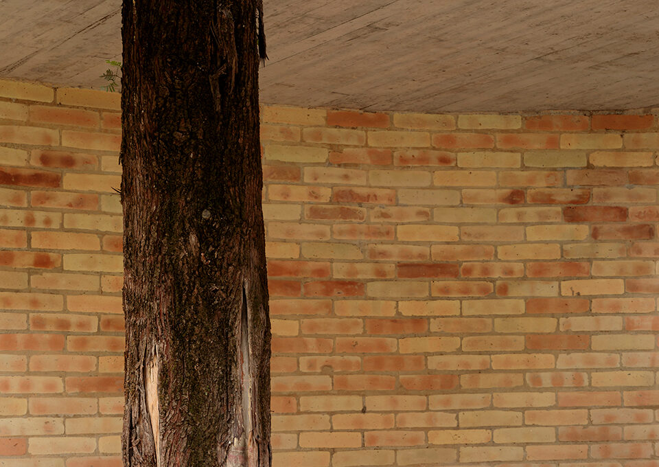 LANZA, Forest House, Ocoyoacac, Mexico, 2018. Photo Dane Alonso