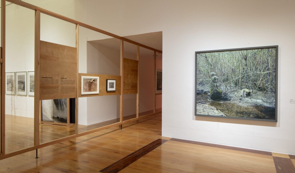 Lanza Atelier, “In the Garden”, Marco Museum, Monterrey, Mexico, 2024