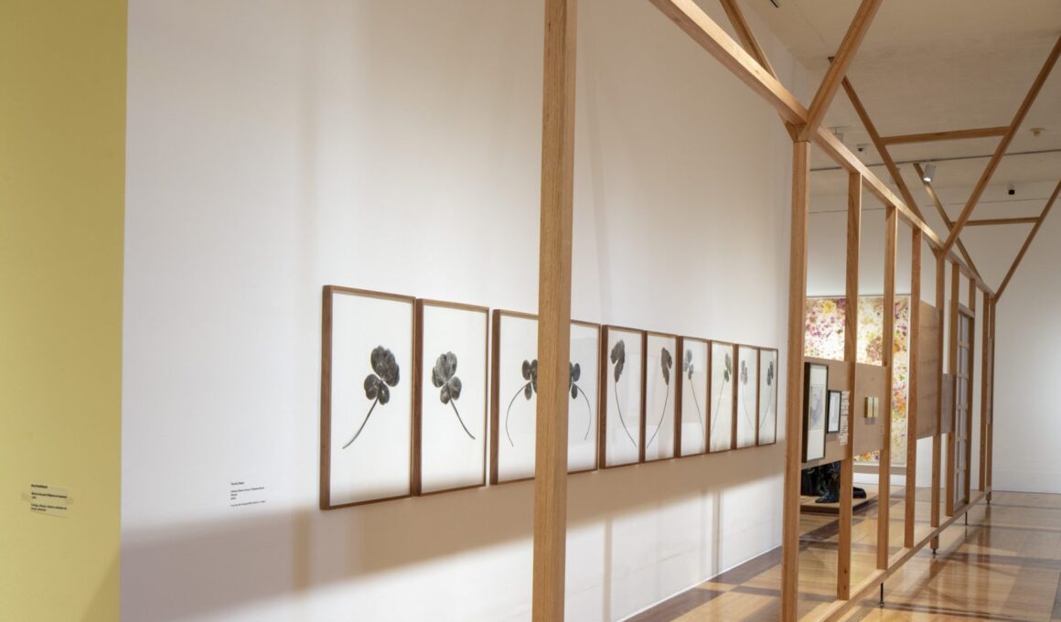 Lanza Atelier, “In the Garden”, Marco Museum, Monterrey, Mexico, 2024