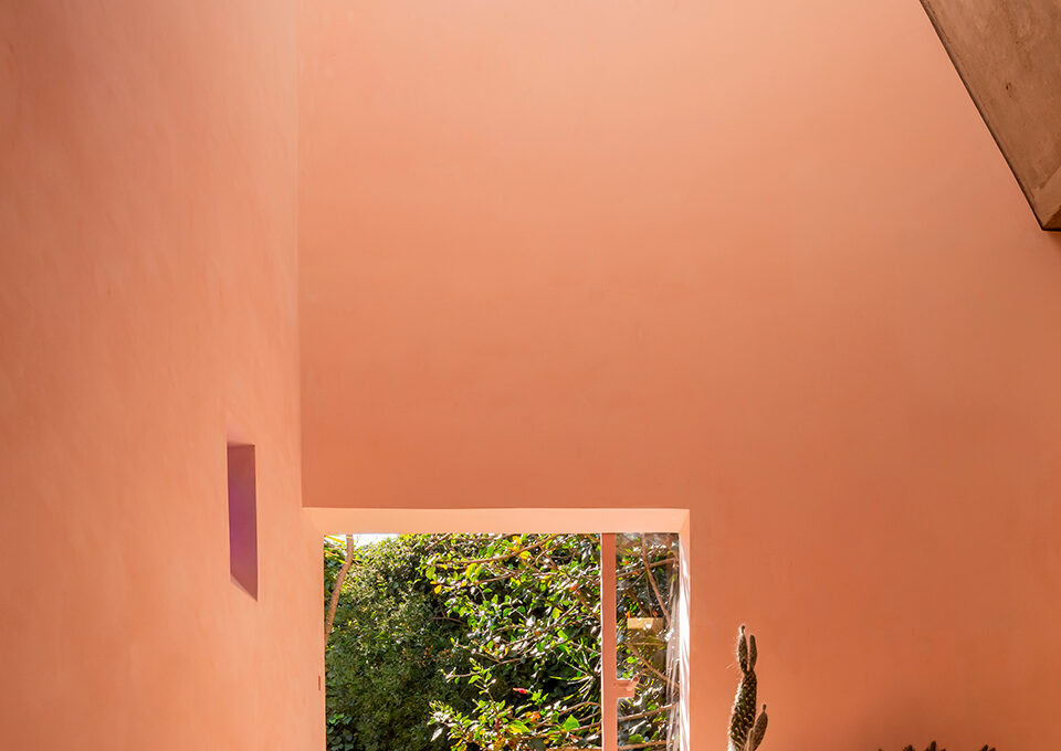 LANZA, Nutritionist Office, Mexico City, 2019. Photo Luis Young