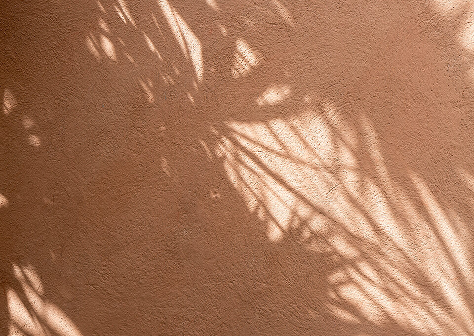 LANZA, Nutritionist Office, Mexico City, 2019. Photo Luis Young